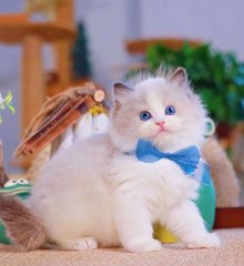 1694年朴信惠拍摄花絮
